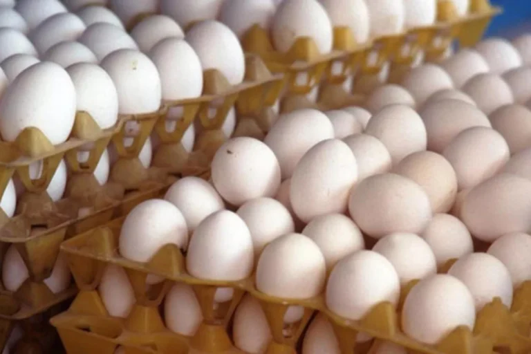 How to Identify Plastic Eggs