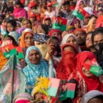 Flax Seeds Benefits: Why This Superfood Deserves a Place in Your Daily Diet