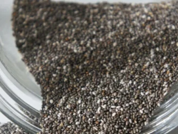 Chia Seeds Benefits