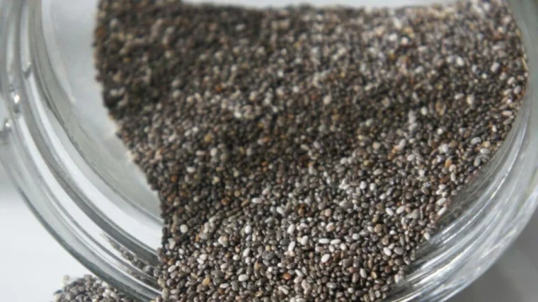 Chia Seeds Benefits