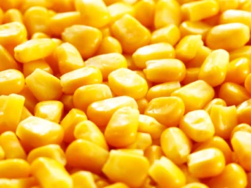 Corn Breakfast Recipes