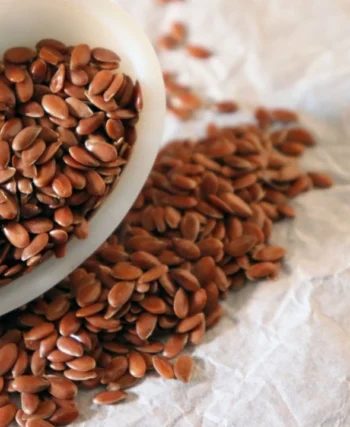 Flax Seeds Benefits