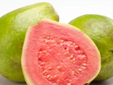 Guava Benefits