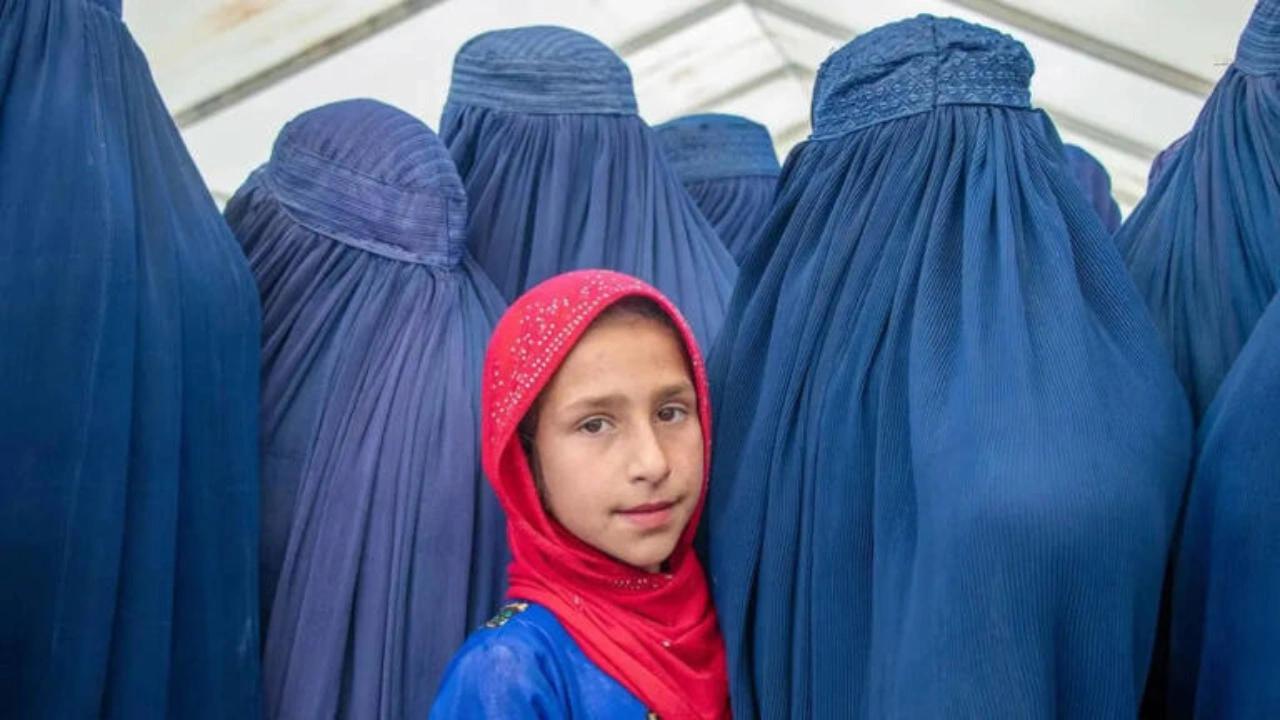 Taliban criminal code