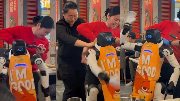 Humanoid Robot