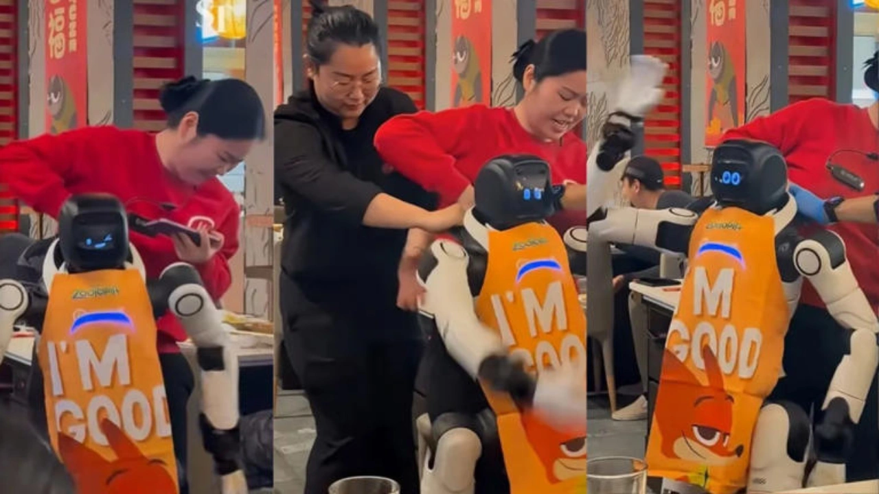 Humanoid Robot