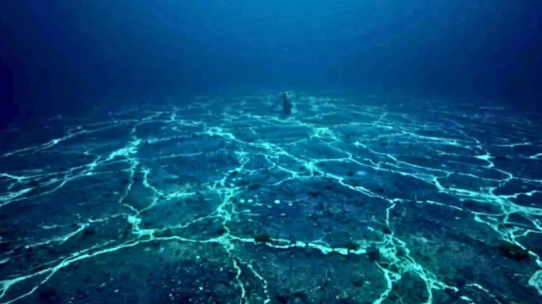 Japan rare earth discovery
