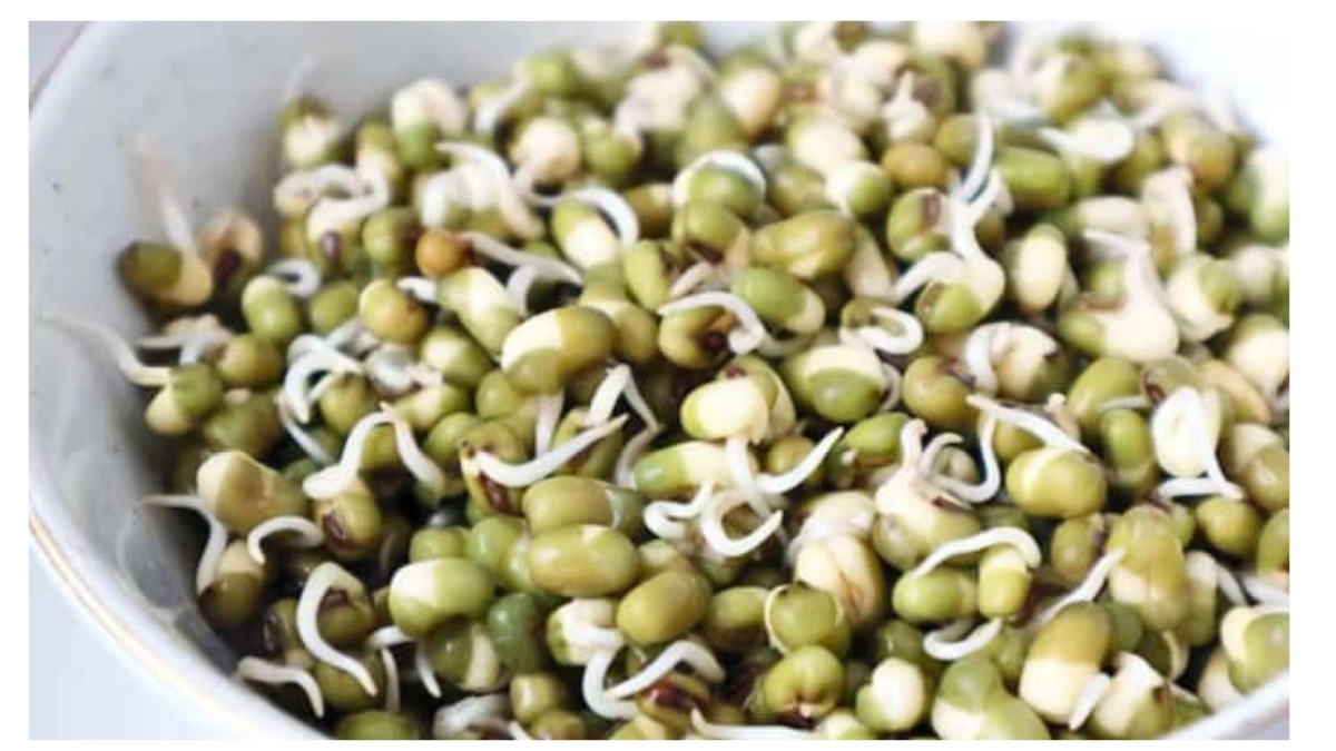 Sprouts Benefits